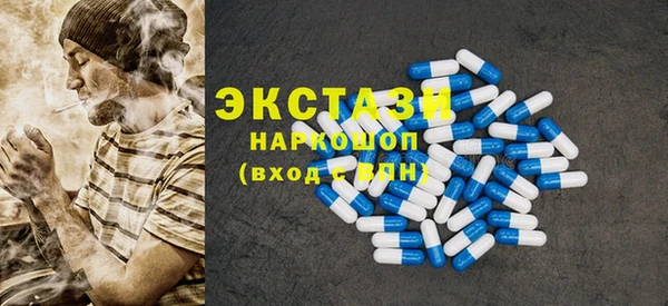 хмурый Бикин