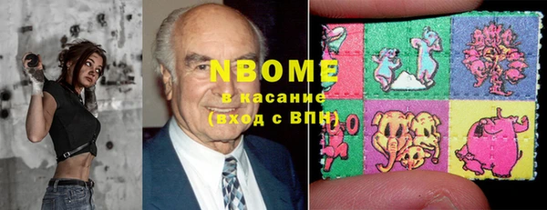 гидра Горнозаводск