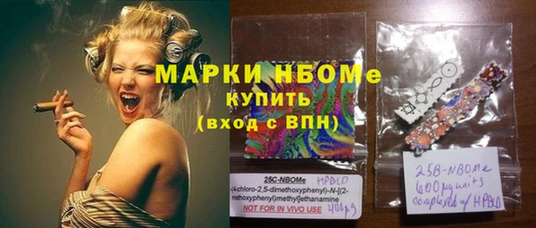 стафф Вязьма