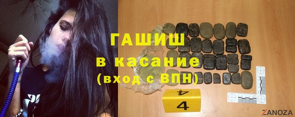 гидра Горнозаводск