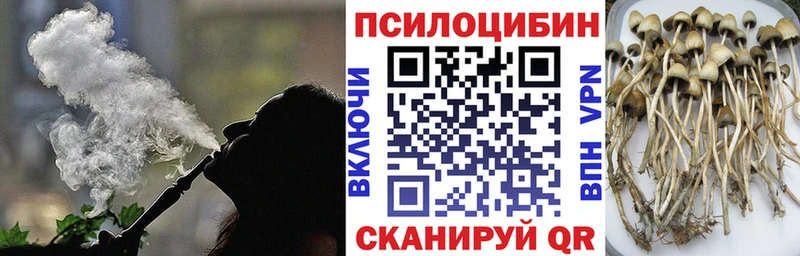 Галлюциногенные грибы Psilocybine cubensis  ОМГ ОМГ рабочий сайт  Горняк 